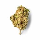 Green Passion - Passion Kush Popcorn (CHF 25.00/10g)