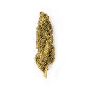 Green Passion - Lemon Passion Indoor (CHF 13.00/2g)