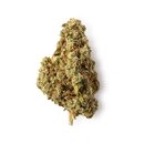 Green Passion - Tangerine Passion Indoor (CHF 13.00/2g)