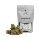 Qualicann - Habanero Kush (CHF 14.90/2g)