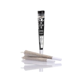 Blow Pure - 20 Joints V1 Black