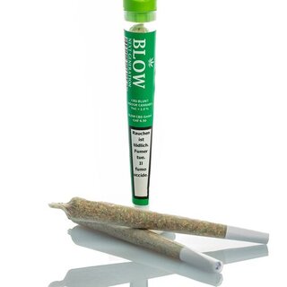 Blow - 20 Joints Fresh Fruit Green