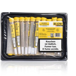 Blow - 20 Joints Sweet Haze Yellow